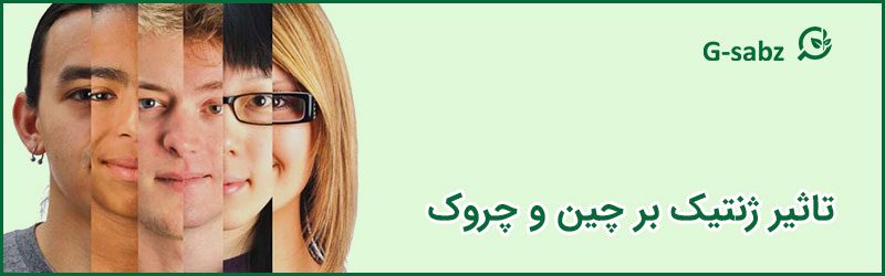 4 تاثیر ژنتیک بر چین و چروک