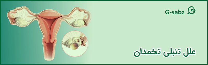 علل تنبلی تخمدان